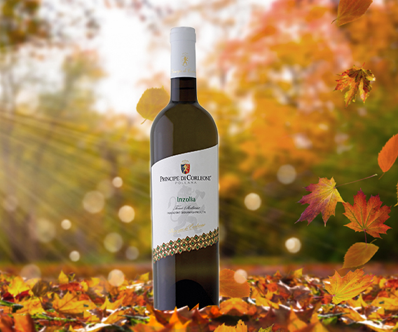 Inzolia Κατάλογος κρασιών/Λευκά κρασιά Inzolia bofrost