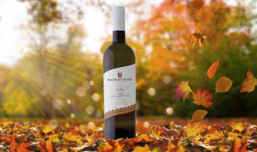 Κατάλογος κρασιών/Λευκά κρασιά Grillo bofrost