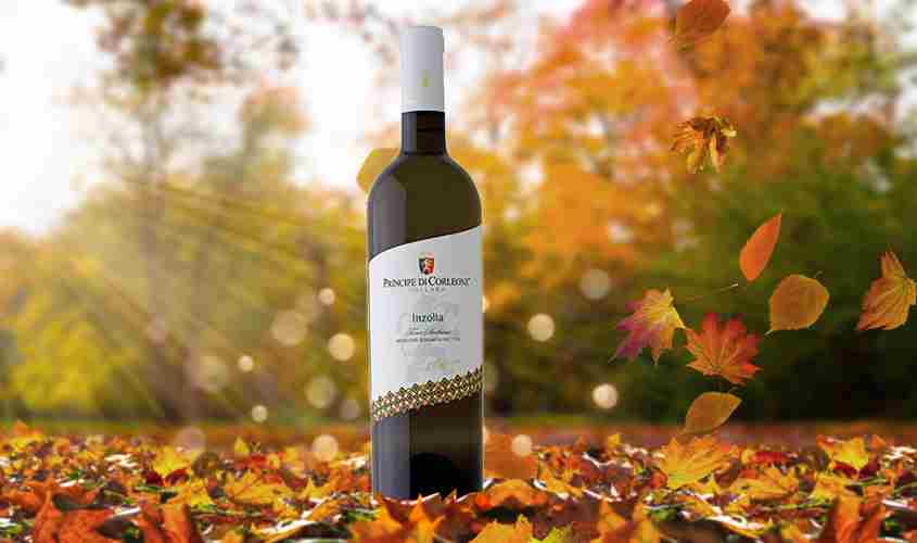 Inzolia Κατάλογος κρασιών/Λευκά κρασιά Inzolia bofrost