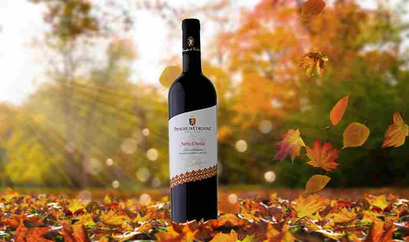 Nero D’ Αvola Κατάλογος κρασιών/Ερυθρά κρασιά Nero D’ Αvola bofrost